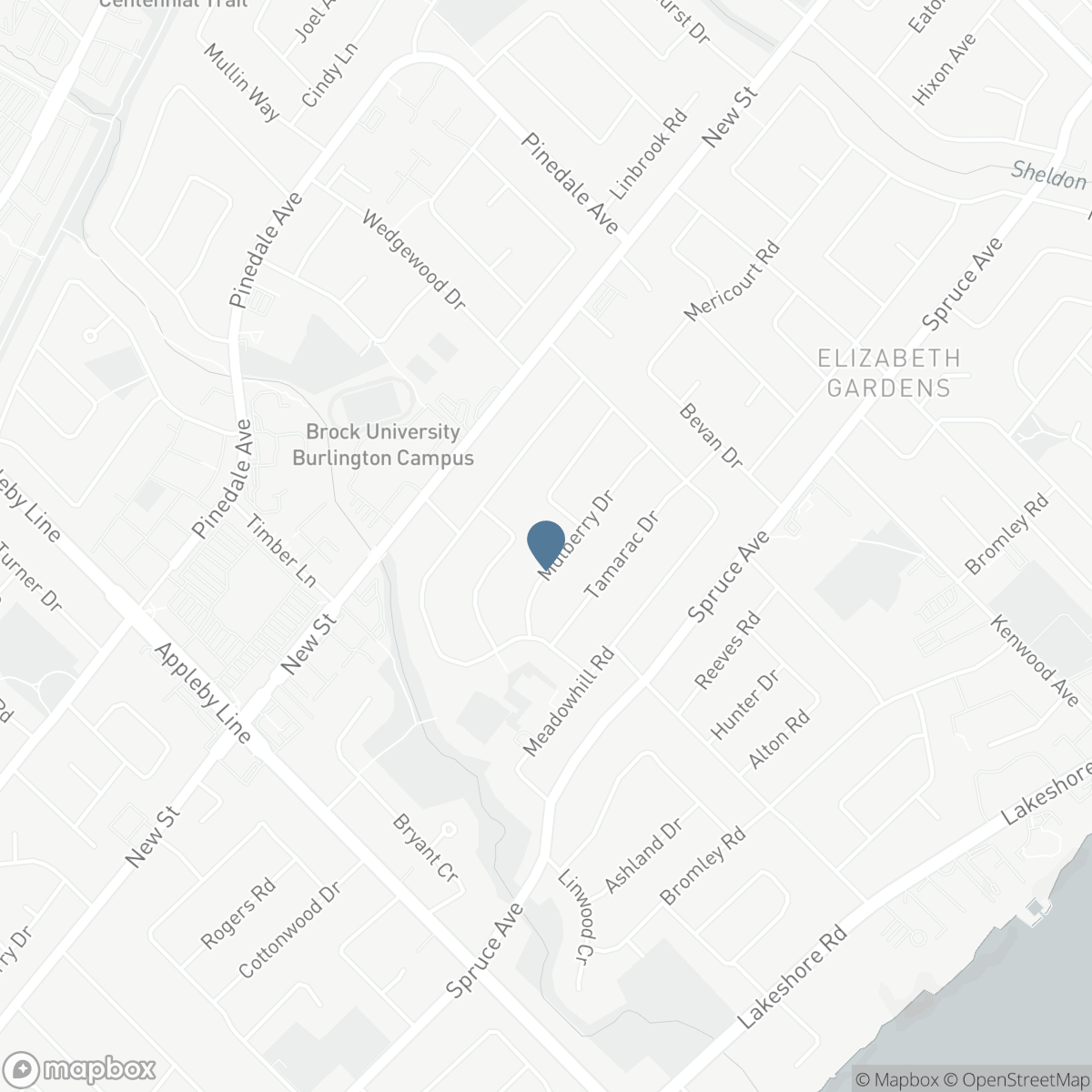 5171 MULBERRY DRIVE, Burlington, Ontario L7L 3P5